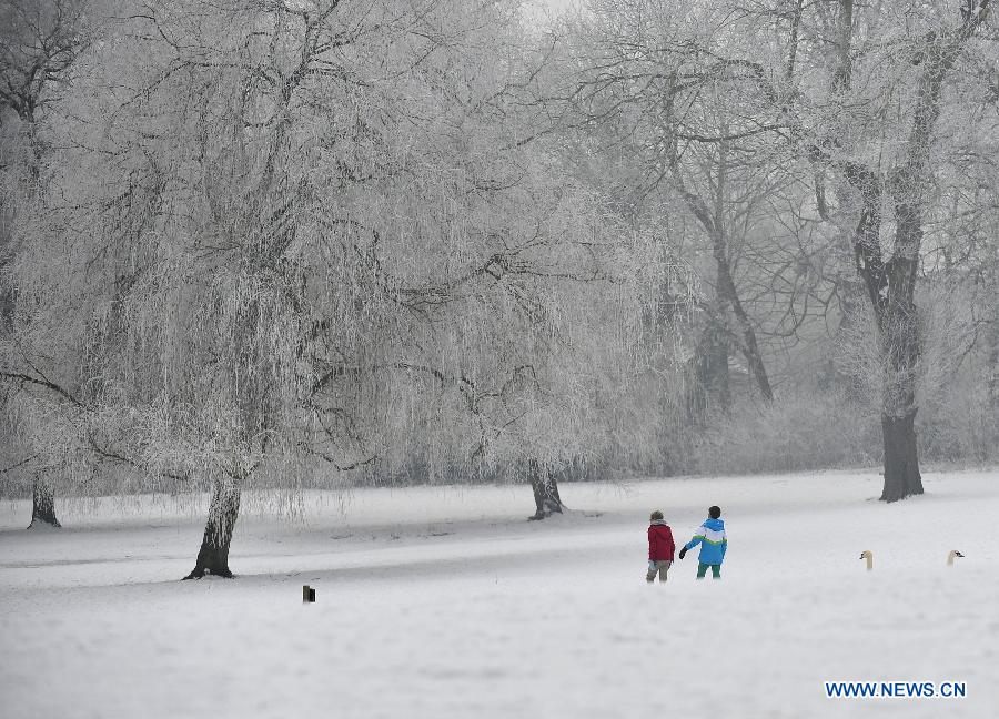 Photo taken on Jan. 23, 2013 shows the rime view in a park in Brussels, Belgium, after a heavy fog with low temperature. (Xinhua/Ye Pingfan) 