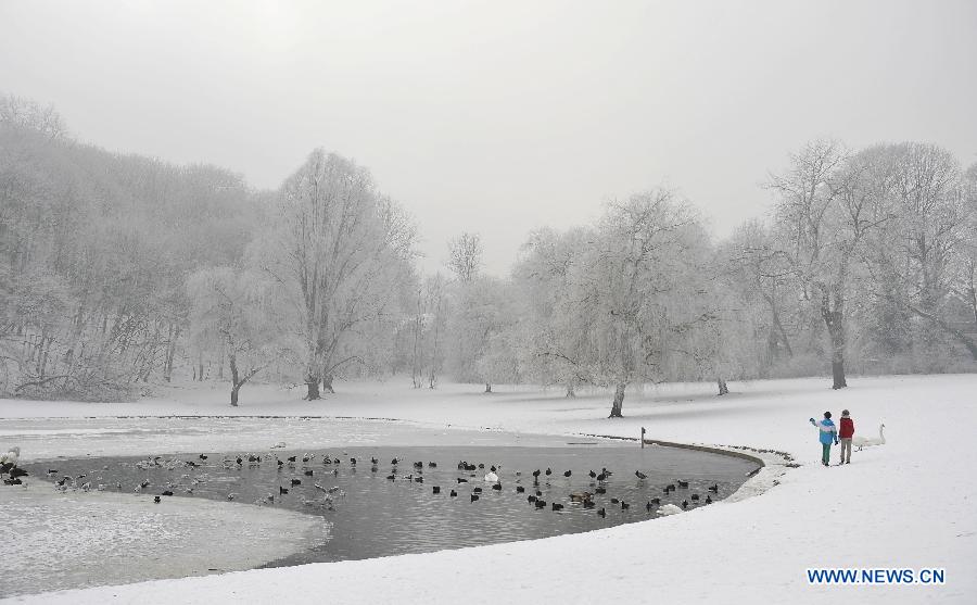 Photo taken on Jan. 23, 2013 shows the rime view in a park in Brussels, Belgium, after a heavy fog with low temperature. (Xinhua/Ye Pingfan) 