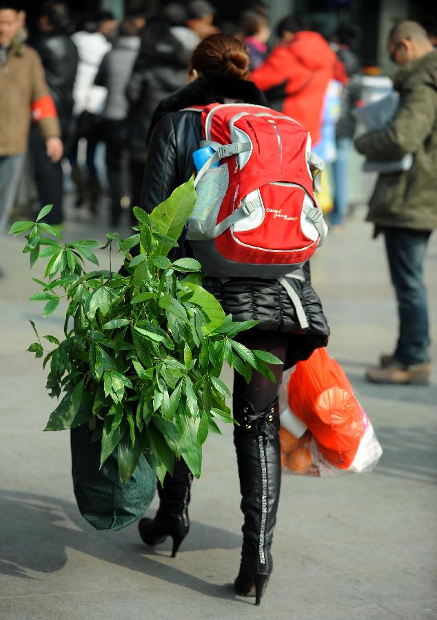 A woman carries a bag of plant on the square of the train station in Chengdu, capital of southwest China's Sichuan Province, Jan. 24, 2013. As the spring festival approaches, more than more people started their journey home. (Xinhua/Xue Yubin) 