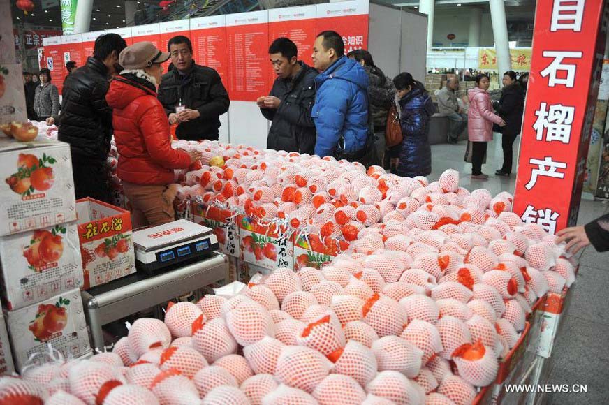Customers are seen selecting goods on a market in Jinan, capital of east China's Shandong Province, Jan. 26, 2013. A 10-day fair, which kicked off here on Saturday, offers local customers goods and supplies from more than 800 retailers prior to the Chinese Spring Festival which falls on Feb. 10 this year. (Xinhua/Xu Suhui)