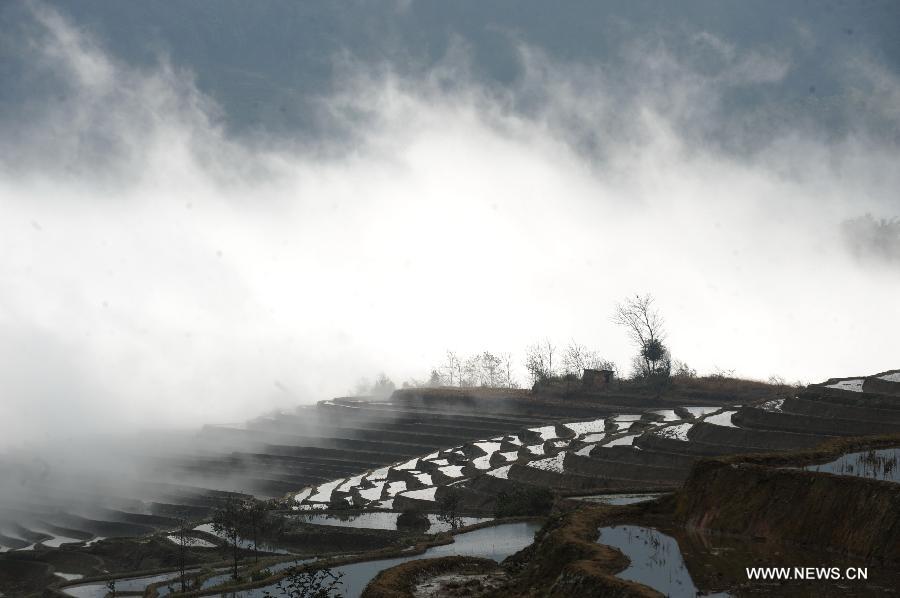 Photo taken on Jan. 26, 2013 shows the scenery of terraced fields in Yuanyang County of Honghe Hani-Yi Autonomous Prefecture, southwest China's Yunnan Province. (Xinhua/Qin Qing)