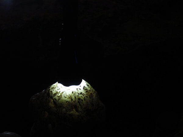 A flashlight demonstrates how light can shine through the rocks at Yellow Dragon Cave. (Photo/CRI)
