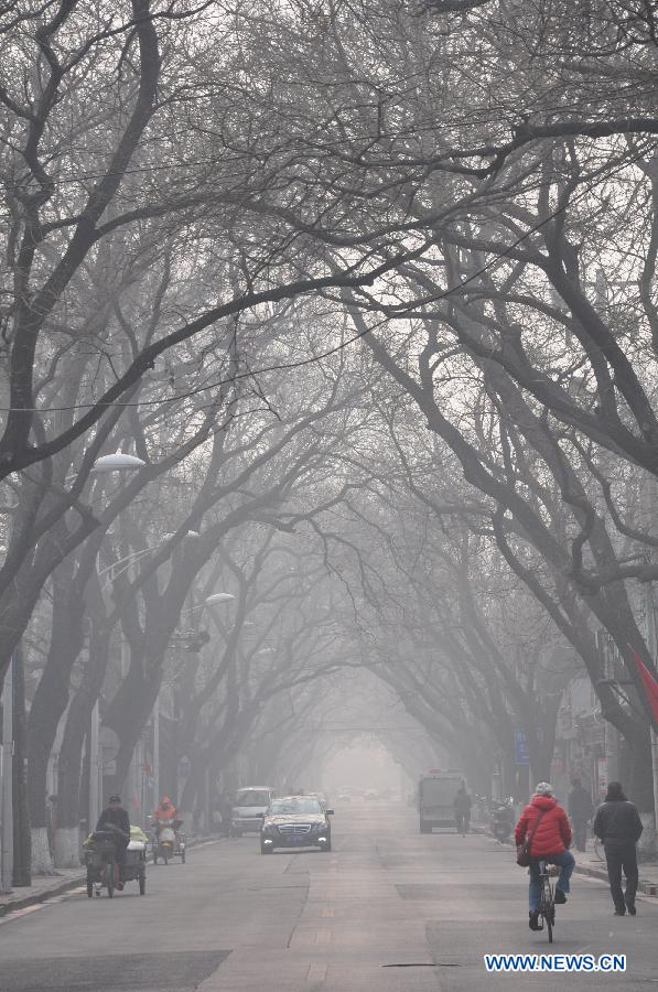 People travel in the street shrouded by fog in Beijing, capital of China, Jan. 28, 2013. The National Meteorological Center (NMC) issued a blue-coded alert on Jan. 27 as foggy weather forecast for the coming two days will cut visibility and worsen air pollution in some central and eastern Chinese cities. (Xinhua/Wang Junfeng) 