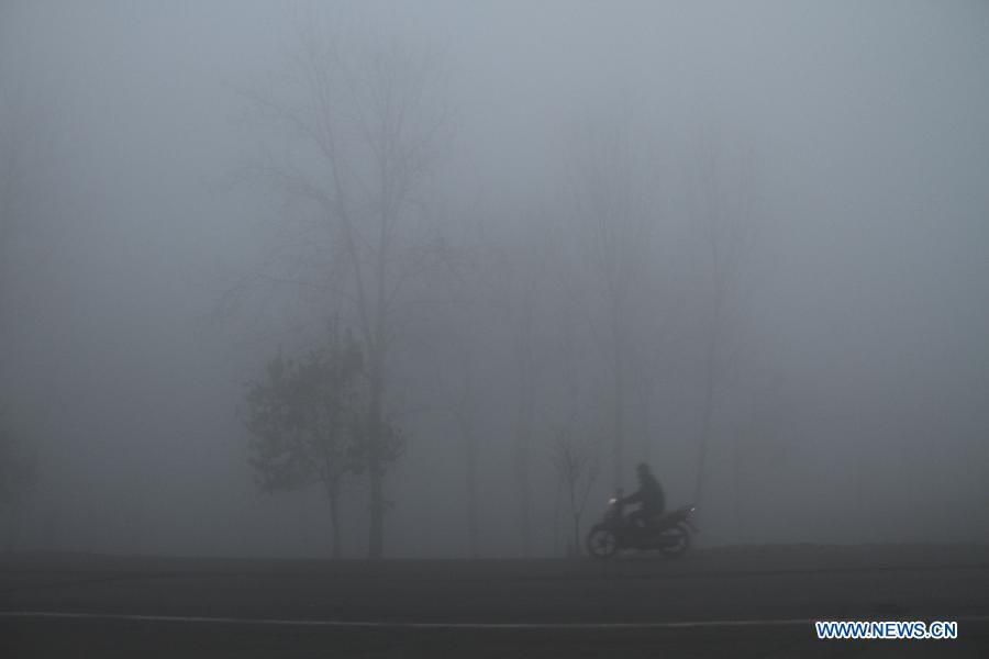A citizen rides amid fog in Wuzhi County in Jiaozuo, central China's Henan Province, Jan. 28, 2013. The National Meteorological Center (NMC) issued a blue-coded alert on Jan. 27 as foggy weather forecast for the coming two days will cut visibility and worsen air pollution in some central and eastern Chinese cities. (Xinhua/Feng Xiaomin) 