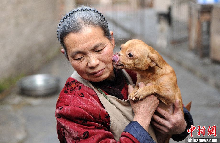 A senior citizen living in Chongqing has adopted over 100 stray dogs and 30 more cats in the past 15 years, wiping out all her savings. (Photo/Chinanews)