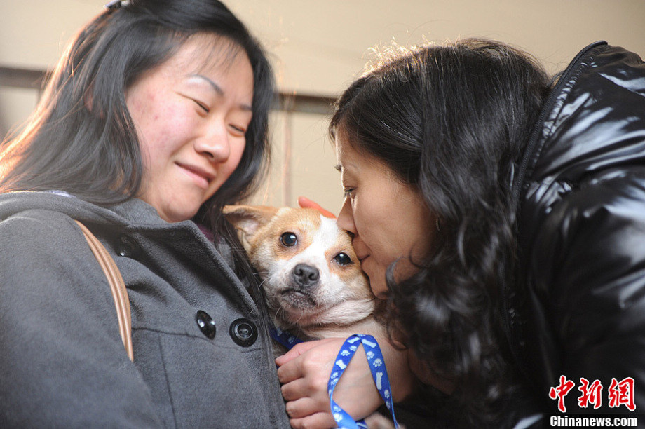 People come to adopt the dog. (Photo/Chinanews)