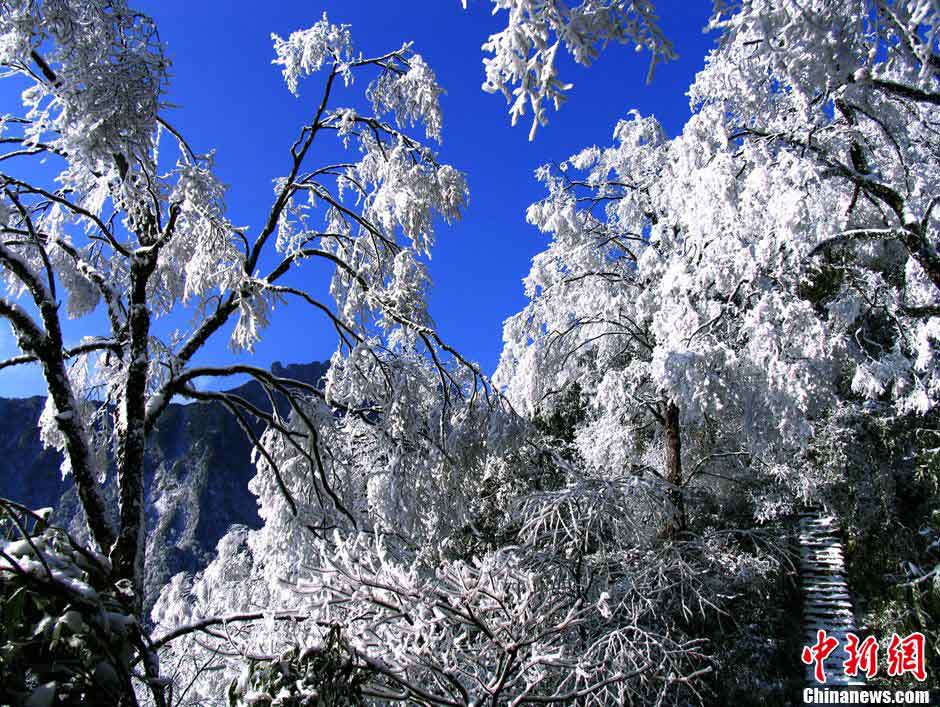 Photo shows the snow scene at the Fanjing Mountain in Tongren city, south China's Guizhou Province. (CNSPHOTO/Teng Shuyong)