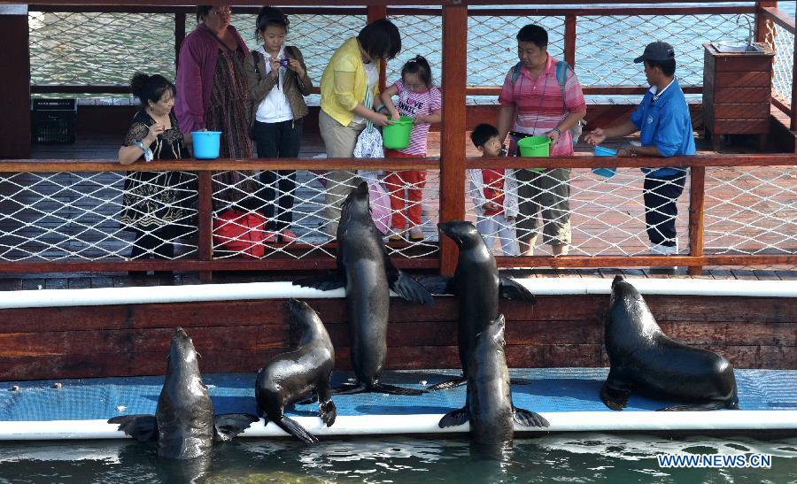 Tourists feed seals at the Boundary Island scenic area in Lingshui Yi Autonomous County in south China's Hainan Province, Jan. 30, 2013. Hainan launched tourism promotion with the theme of fresh air, to attract visitors from northern China where heavy haze lingered recently. (Xinhua/Zhao Yingquan)