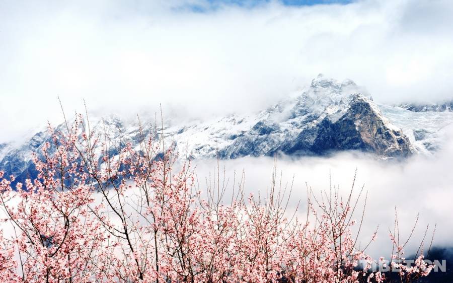 The breathtaking scenery in Nyingchi Prefecture, southern Tibet, in winter. (Photo/China Tibet Online)