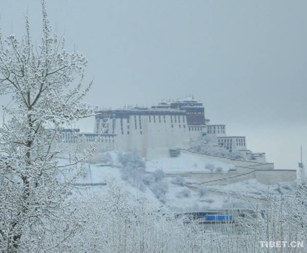 The amazing winter scenery of the Potala Palace, the architectural icon in Lhasa, capital city of Tibet. (Photo/China Tibet Online)