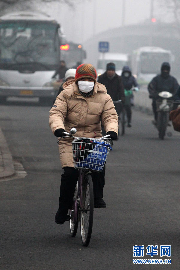 Beijing resident wears a breathing mask outside in the early morning of January 29th, 2013. (Photo/Xinhua)