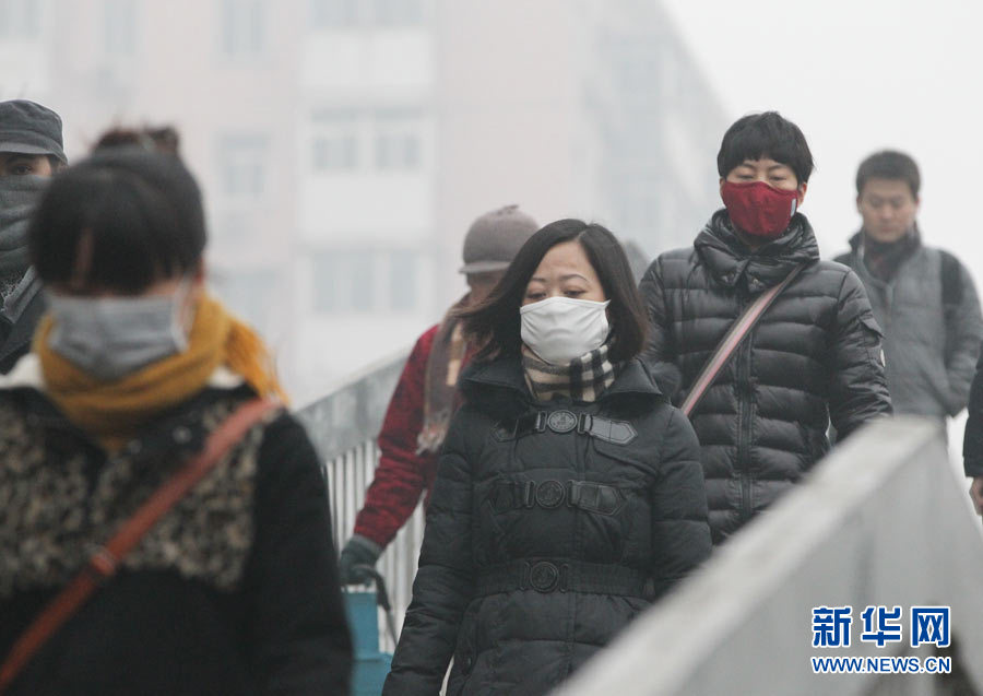 Beijing resident wears a breathing mask outside in the early morning of January 29th, 2013. (Photo/Xinhua)
