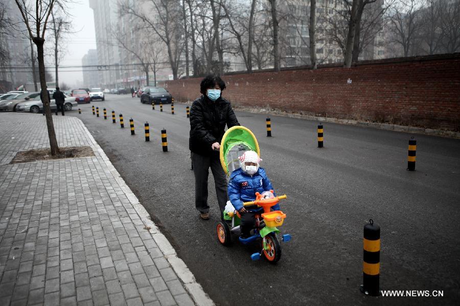 A woman and her grandson are seen wearing masks in Beijing, capital of China, Jan. 31, 2013. Light snow hit parts of the city on Thursday and the local meteorological observatory issued a yellow alert for icy road. (Xinhua/Jin Liwang) 