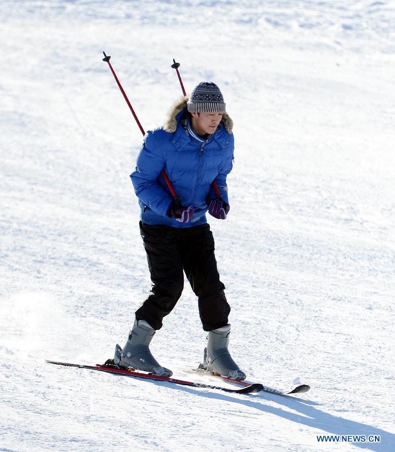 A skier plays at Jiangjunshan Ski Resort in Altay, northwest China's Xinjiang Autonomous Region, Jan. 31, 2013. Thanks to its snow and ice resources, Altay received 87,300 trips from mid-October of 2012 to Jan. 22 this year with tourism revenues hitting 58.49 million yuan (9.4 million US dollars). (Xinhua/Sadat)