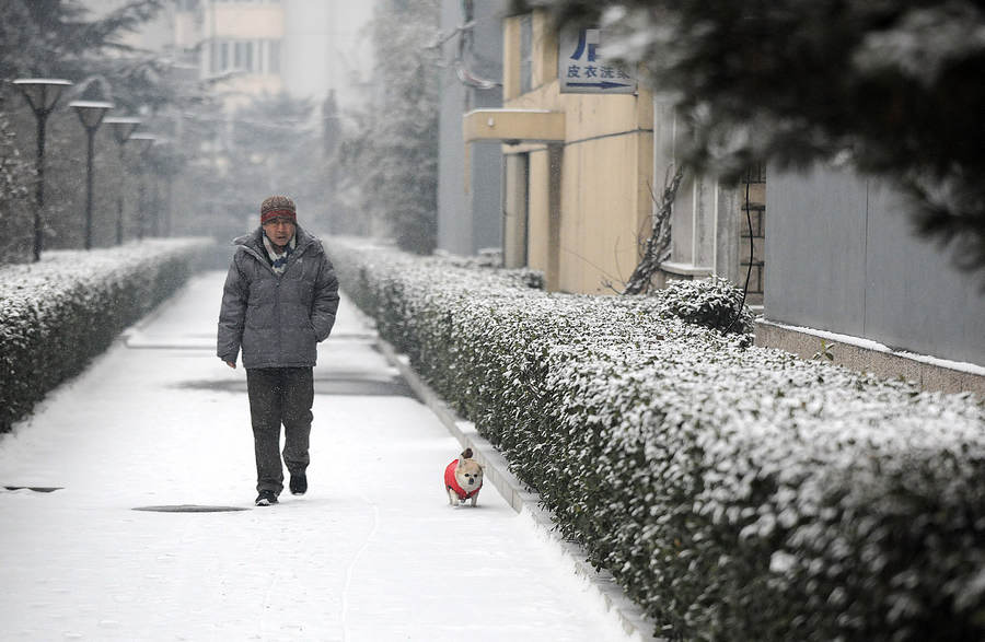 A man talks in the snow on a street in Beijing, Feb 3, 2013. A new round of cold snap has brought rain and snow to most parts of China. (Photo/Xinhua)