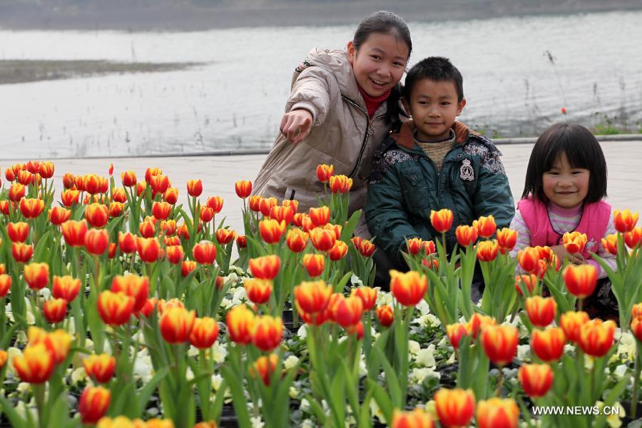 Children view tulips during an international tulip festival in Chongqing, southwest China, Feb. 1, 2013. (Xinhua/Luo Guojia) 