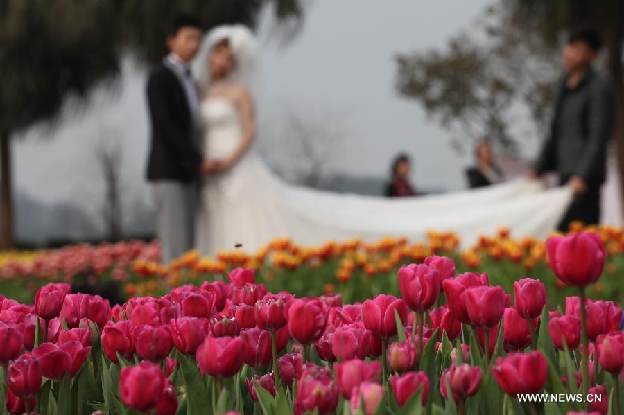 A couple pose for wedding photos with the tulips during an international tulip festival in Chongqing, southwest China, Feb. 1, 2013. (Xinhua/Luo Guojia)