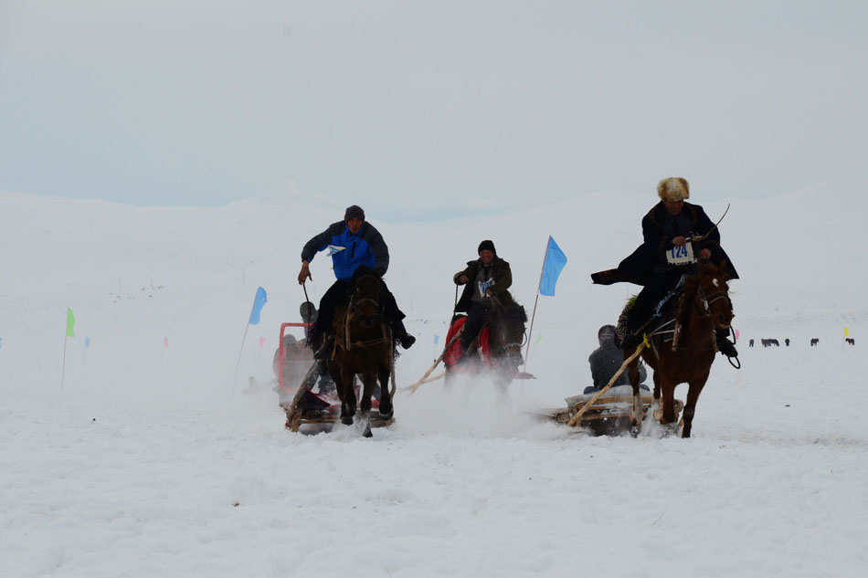 A horse-drawn sledge competition is held in Zhaosu, Xinjiang on Jan. 28, 2013. (Xinhua/Cai Guodong)