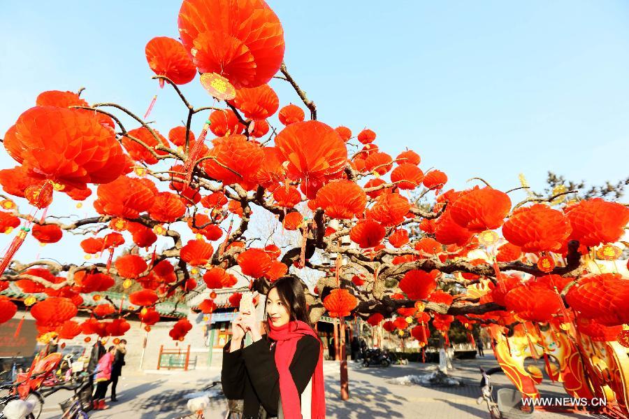 A tourist takes photos under red lanterns in the Temple of Earth Park in Beijing, capital of China, Feb. 2, 2013. The Temple of Earth Park was decorated with red lanterns so as to celebrate the upcoming Spring Festival or Chinese Lunar New Year. (Xinhua)