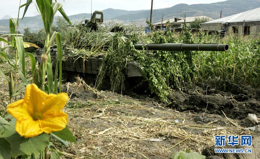 Photo taken on Aug. 20, 2008 shows a Russian tank camouflaged with plants in South Ossetia. (Photo/ Xinhua)