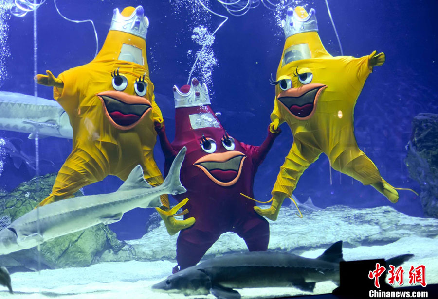 Beijing Aquarium staffers in festive costumes perform an underwater Gangnam Style dance for the upcoming Chinese Spring Festival, on Feb 5, 2013. (CNS/Lu Xin)