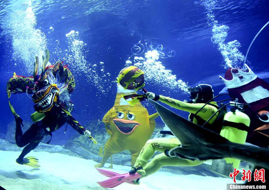 Beijing Aquarium staffers perform an underwater dragon dance for the upcoming Chinese Spring Festival, on Feb 5, 2013.(CNS/Lu Xin) 