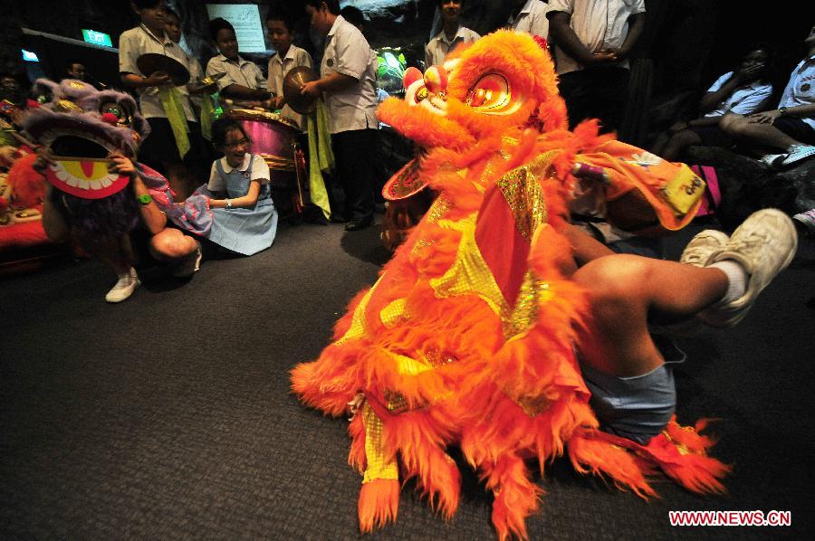 Students learn the Chinese traditional lion dance during a celebration of the Chinese Spring Festival at the Underwater World in Singapore, Feb. 5, 2013. (Xinhua/Then Chih Wey)