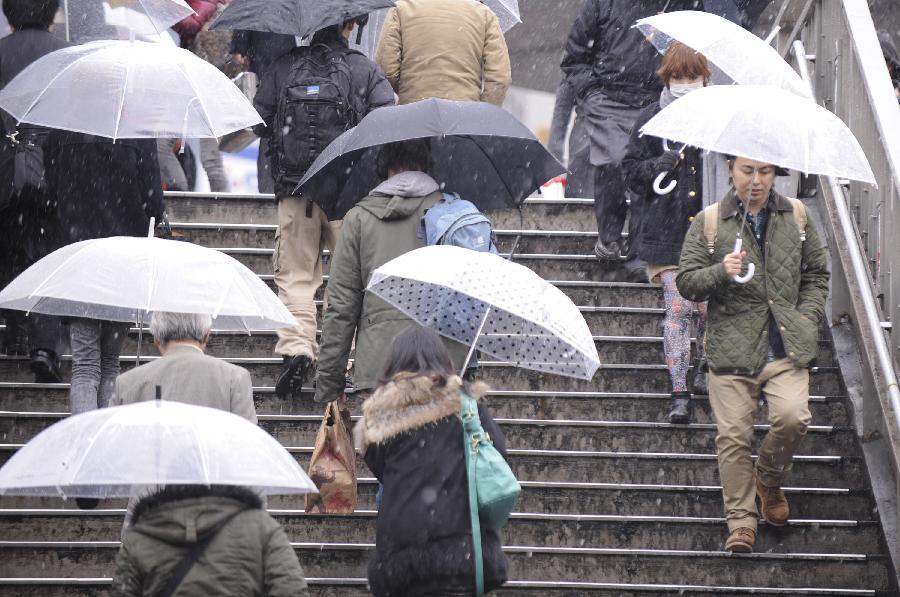 Pedestrians walk during a snowfall in Tokyo, Japan, Feb. 6, 2013. (Xinhua/Kenichiro Seki)