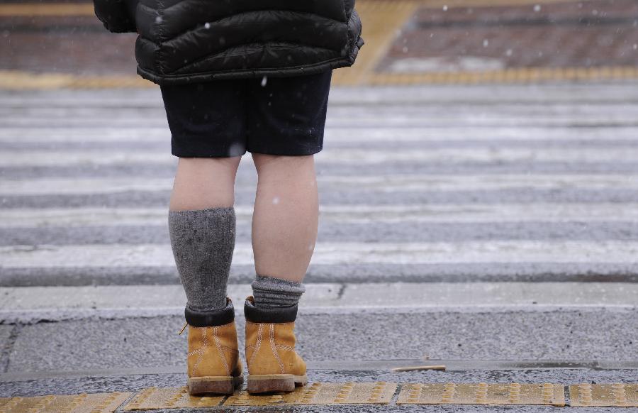 A pedestrian waits to cross a street during a snowfall in Tokyo, Japan, Feb. 6, 2013. (Xinhua/Kenichiro Seki)