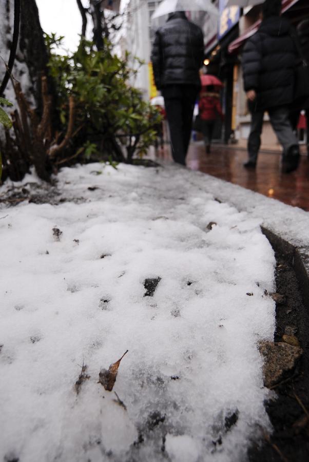 Pedestrians walk during a snowfall in Tokyo, Japan, Feb. 6, 2013. (Xinhua/Kenichiro Seki)