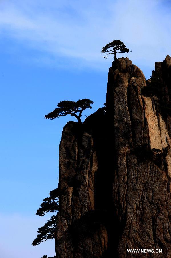 Photo taken on Feb. 6, 2013 shows the sea of clouds after a rainfall at the Huangshan Mountain scenic spot in Huangshan City, east China's Anhui Province. (Xinhua/Shi Guangde) 