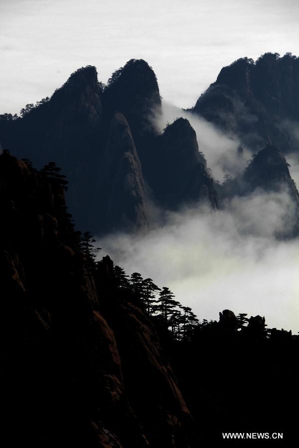 Photo taken on Feb. 6, 2013 shows the sea of clouds after a rainfall at the Huangshan Mountain scenic spot in Huangshan City, east China's Anhui Province. (Xinhua/Shi Guangde) 