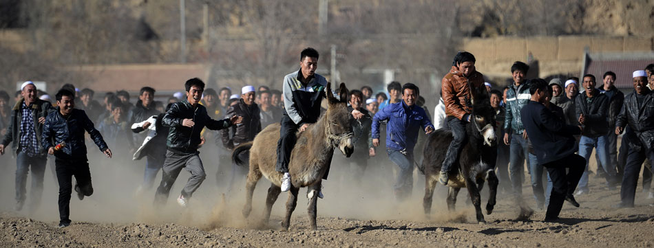 A photo taken on Feb.5 shows the donkey racing in a village sports meeting in Ningxia Hui Autonomous Region. (Xinhua/Wang Peng)