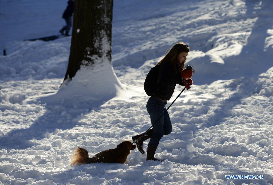 A lady walks her dog inside the Central Park of New York City, on Feb. 9, 2013. A massive blizzard dumped as much as three feet (one meter) of snow in parts of the Northeastern United States, leaving some 650,000 households and businesses without power and two dead by Saturday. (Xinhua/Wang Lei) 