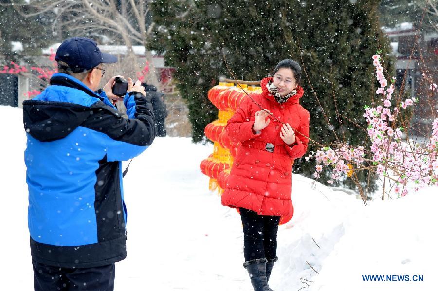 A citizen poses for photos in snow in Changchun, capital of northeast China's Jilin Province, Feb. 12, 2013. Some parts of the northeast provinces witnessed snowfall on Tuesday. (Xinhua/Zhang Nan)