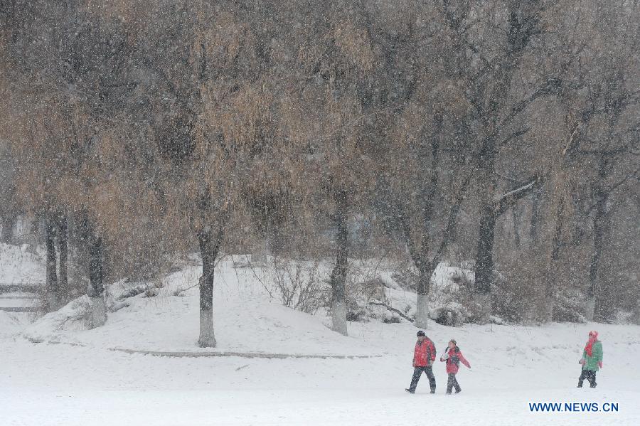 Citizens walk in snow in Changchun, capital of northeast China's Jilin Province, Feb. 12, 2013. Some parts of the northeast provinces witnessed snowfall on Tuesday. (Xinhua/Zhang Nan)
