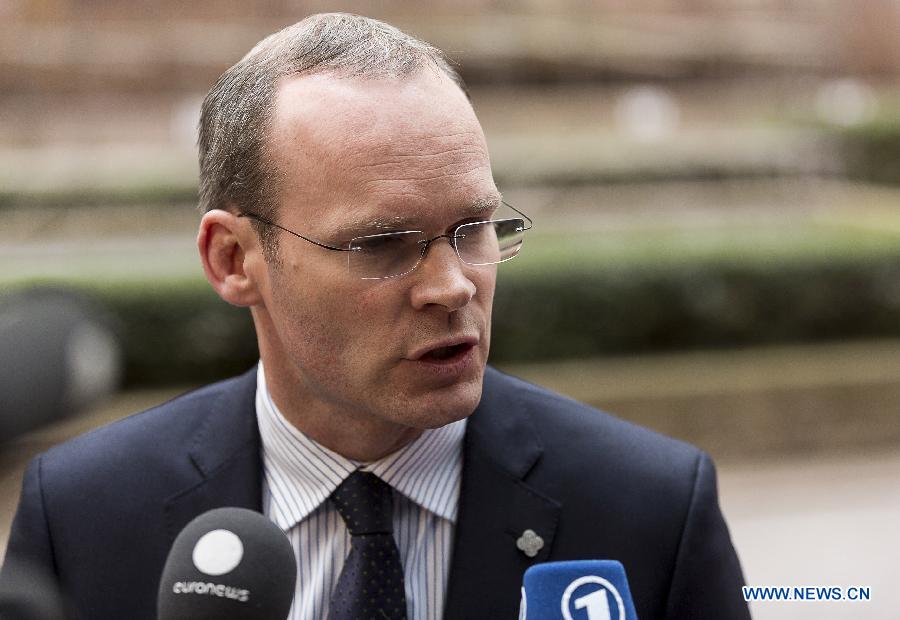 Irish Agriculture, Food and Marine Minister Simon Coveney speaks to media upon his arrival at a meeting at EU headquarters in Brussels, capital of Belgium, Feb. 13, 2013, to discuss responses to the discovery of horsemeat in beef products in several EU countries. (Xinhua/Thierry Monasse) 