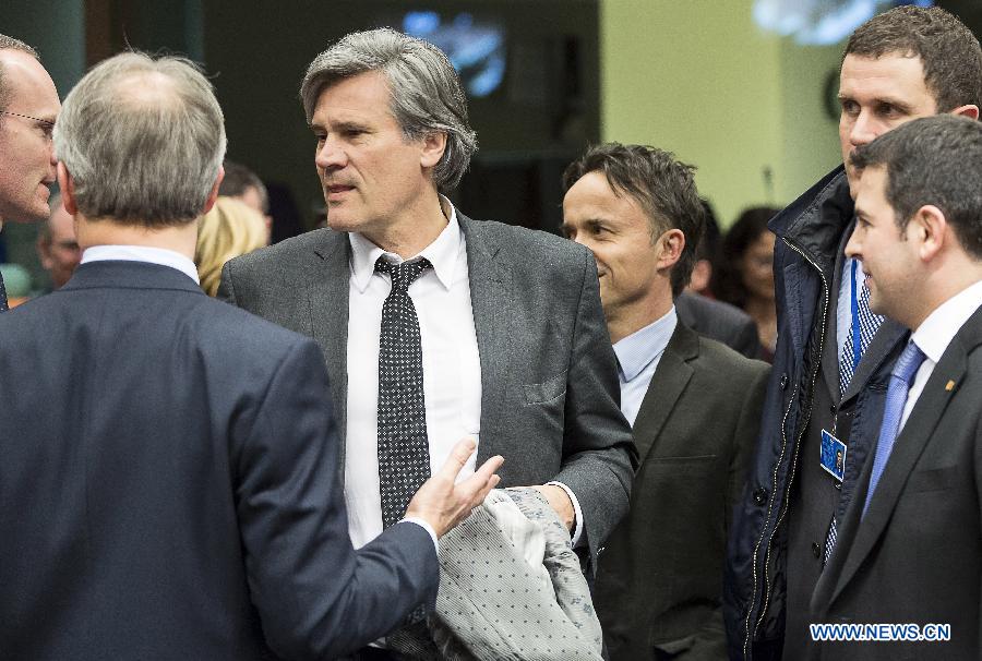 French Agriculture Minister Stephane Le Foll (C) attends a meeting at EU headquarters in Brussels, capital of Belgium, Feb. 13, 2013, to discuss responses to the discovery of horsemeat in beef products in several EU countries. (Xinhua/Thierry Monasse) 