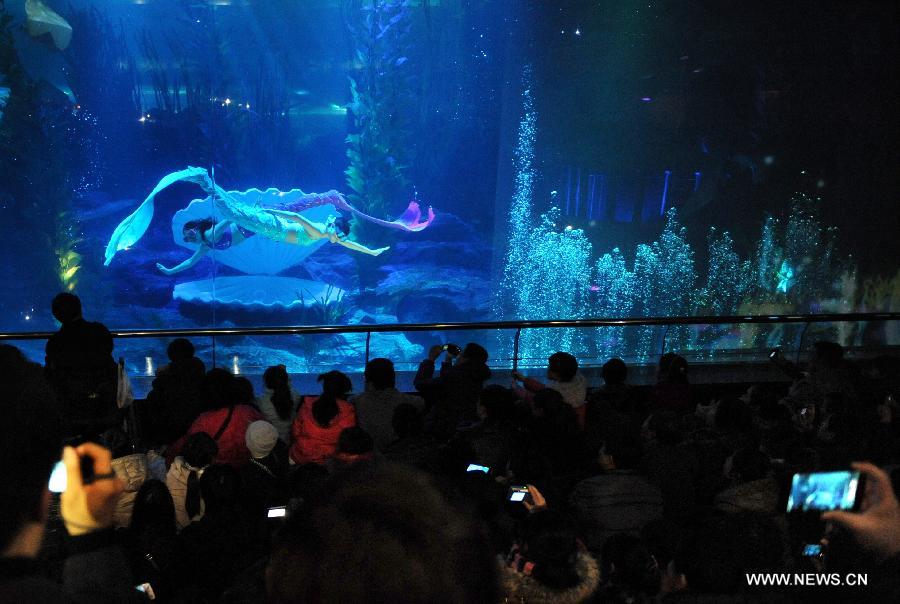 Amazing mermaid performance attracts visitors in Qingdao  (6)