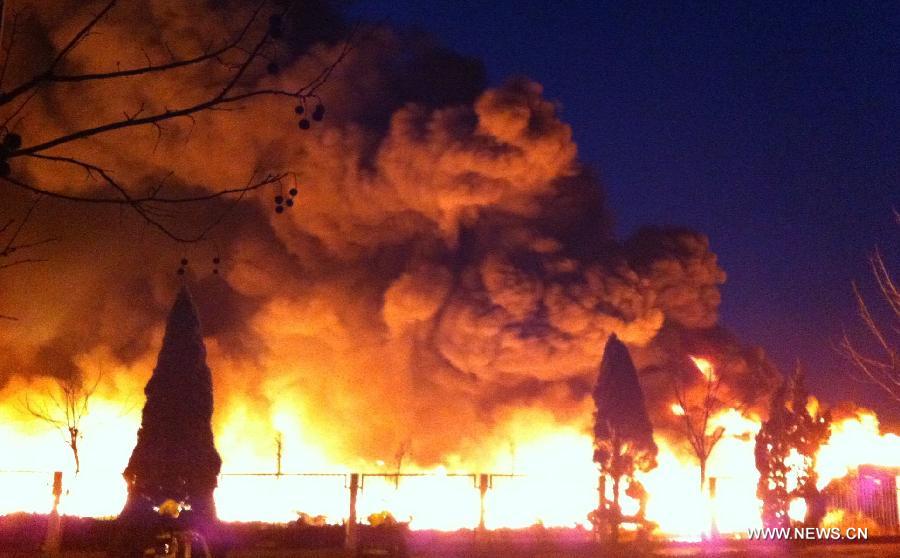 The fire site is seen in Xiqing District of north China's Tianjin Municipality, Feb. 15, 2013. An enterprise here caught fire on Friday. The cause and losses of the accident were not known immediately. (Xinhua/Yue Yuewei)  