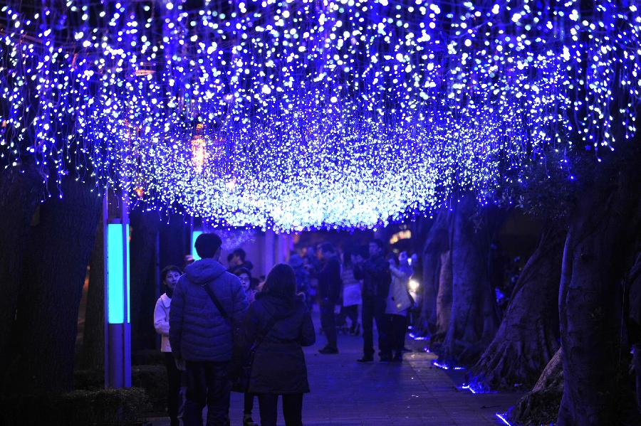 Visitors walk under lanterns during a trial lighting for the 2013 Taipei lantern festival in Taipei, southeast China's Taiwan, Feb. 16, 2013. The lantern festival, which is to celebrate the Chinese traditional Lantern Festival, will kick off on Feb. 21. The Lantern Festival falls on the 15th day of the first month of the Chinese lunar calendar, or Feb. 24 this year. (Xinhua/Wu Ching-teng) 