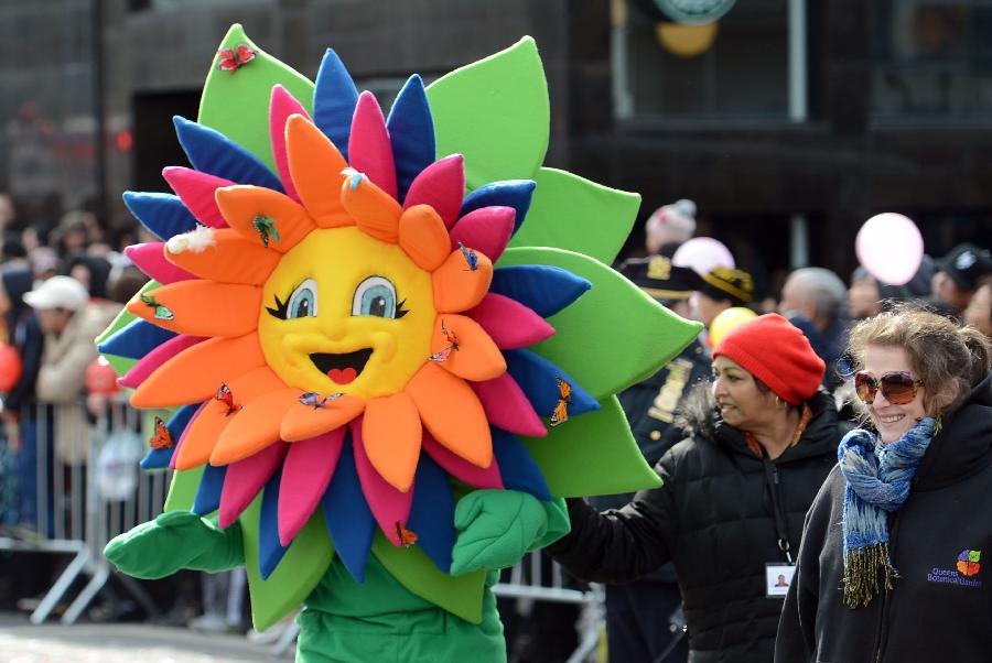 A person dressed up as a sunflower participates in a parade to celebrate the traditional Chinese Lunar New Year in Flushing of the Queens Borough of New York, Feb. 16, 2013. (Xinhua/Wang Lei) 