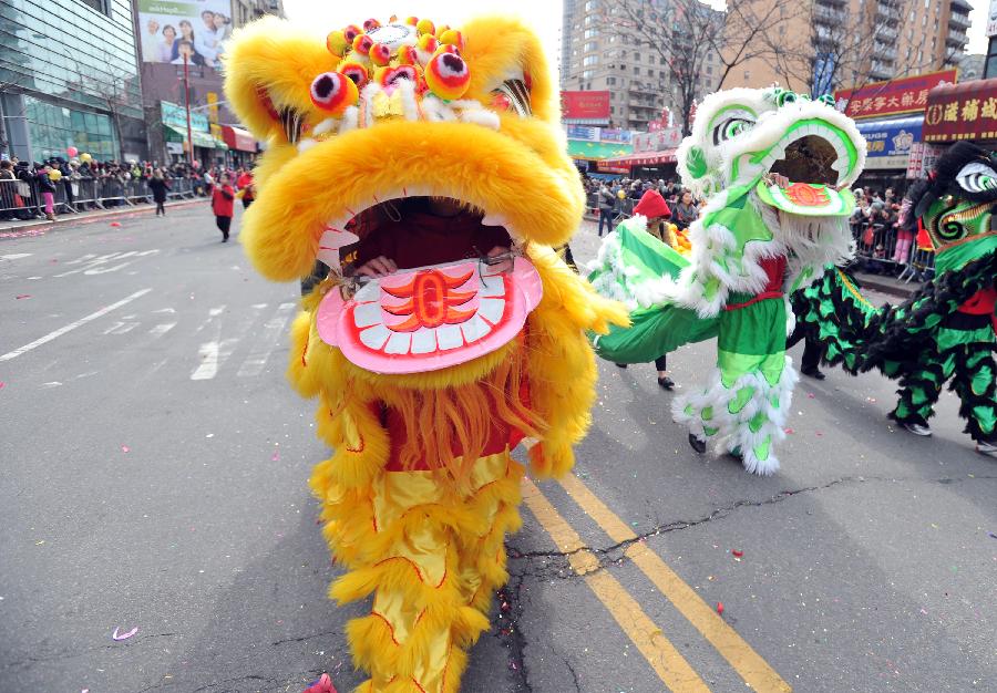 Overseas Chinese lion dance team participate in the parade to celebrate the traditional Chinese Lunar New Year in Flushing of the Queens Borough of New York, Feb. 16, 2013. (Xinhua/Wang Lei) 