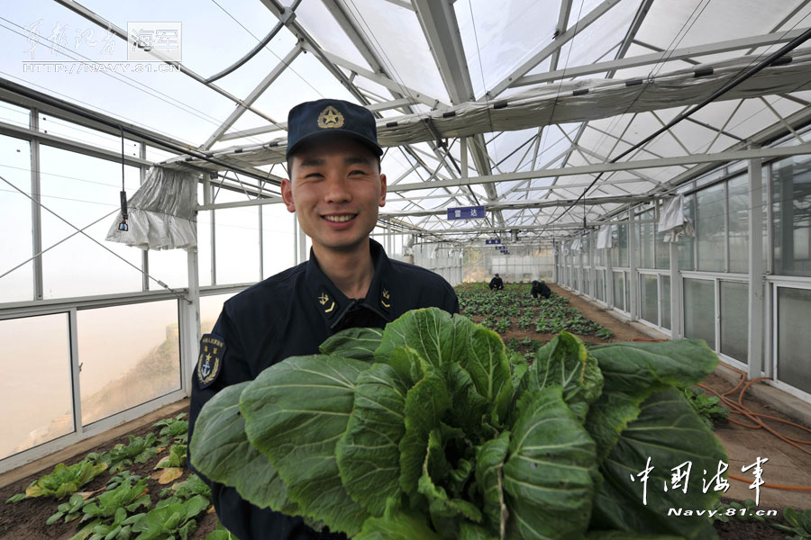 Mess officer Gao Haijun happily shows the just picked vegetable from the greenhouse on the islet. Gao hopes they can make their vegetables self-sufficient in 2013. (Navy.81.cn/ Jiang Shan)