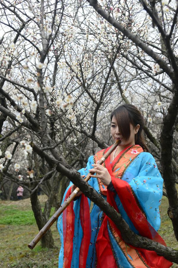 A girl wearing traditional Chinese costumes plays Xiao, a vertical bamboo flute, under the plum blossoms at Xixi Wetland Park during a plum blossom festival in Hangzhou, capital of east China's Zhejiang Province, Feb. 17, 2013. The festival opened here Sunday. (Xinhua/Li Zhong) 