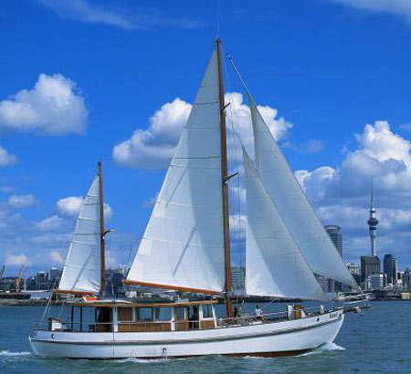 Auckland - New Zealand(Source:news.xinhuanet.com)