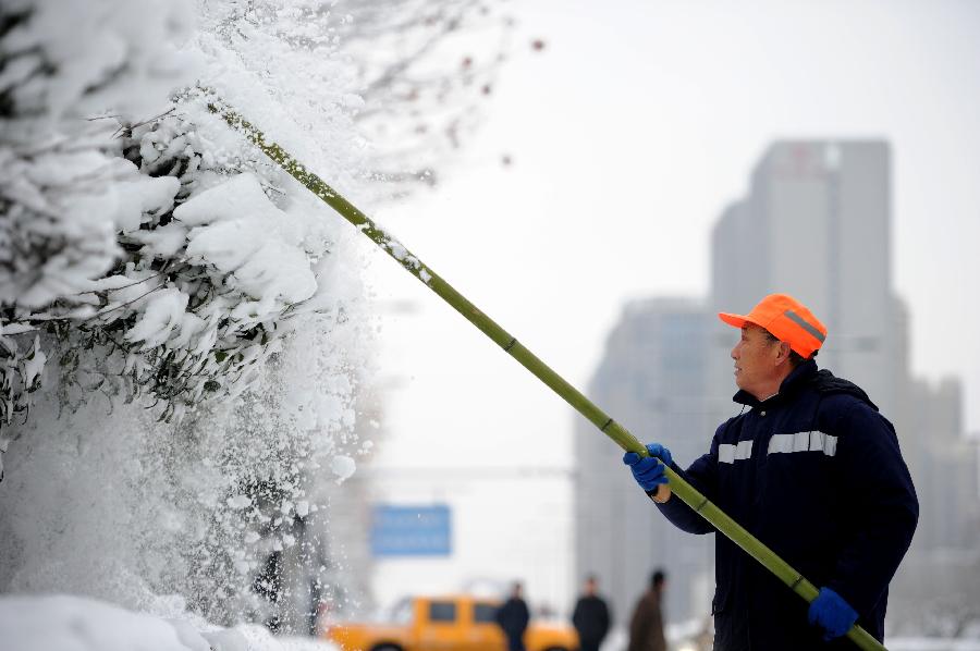 A worker clears off snow on trees after snowfall in Hefei, capital of east China's Anhui Province, Feb. 19, 2013. A snowstorm hit Anhui province Tuesday morning and the local meteorological bureau has issued a yellow alert for the snowfall. (Xinhua/Liu Junxi) 
