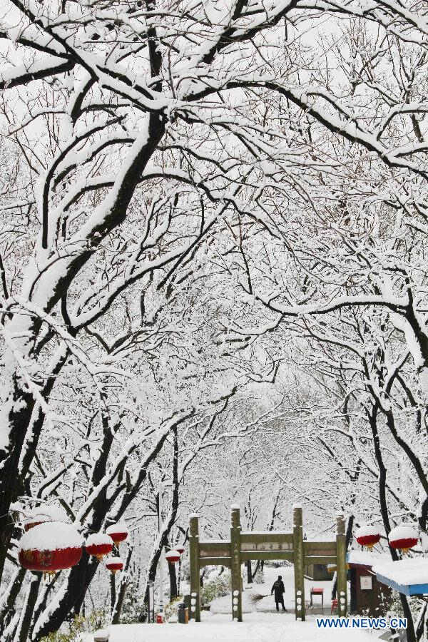 Photo taken on Feb. 19, 2013 shows the snow scene of the Junshan Mountain in Nantong, east China's Jiangsu Province, Feb. 19, 2013. Many cities in eastern and central China received snowfall on Feb. 19. (Xinhua/Xu Congjun)