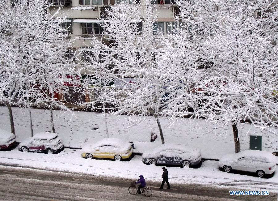 Photo taken on Feb. 19, 2013 shows the snow scene of road in Nanjing, capital of east China's Jiangsu Province. Many cities in eastern and central China were hit by a snowfall on Feb. 19. (Xinhua/Wang Qiming)