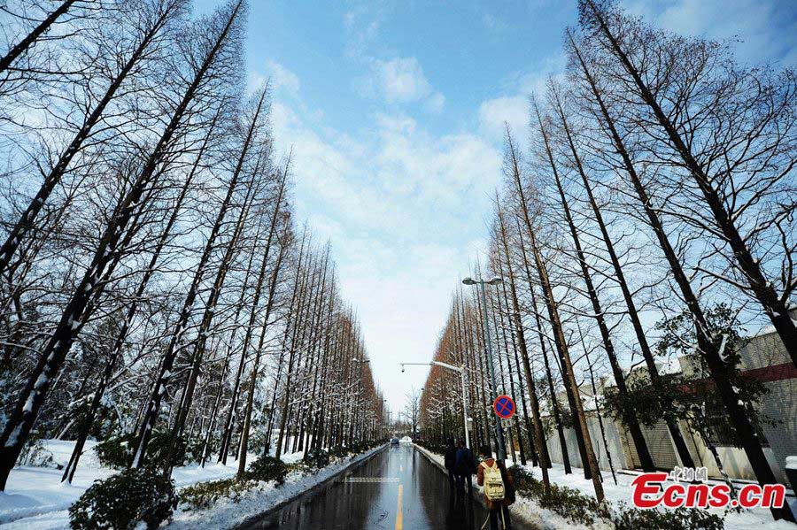 Photo taken on February 19 shows the snow scenery of Yangzhou in East China's Jiangsu Province. (CNS/Meng Delong)